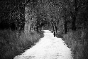 A lone road