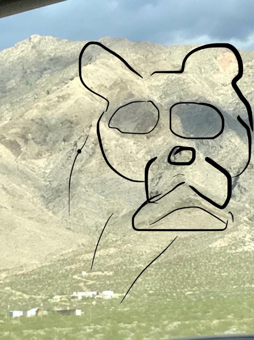 Remi's face in the mountains