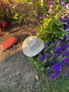 Art's garden hat