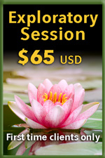 First-time client purchase an exploratory grief facilitation session for 65 dollars