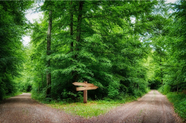 Two path juncture